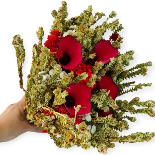 Buquê de Flores Vermelhas Secas Mix Para Arranjos Vermelho